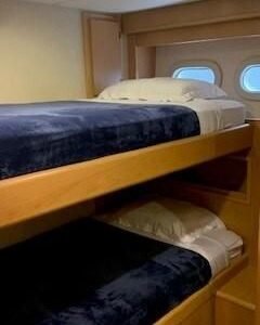 8399625_20230120120252416_1_XLARGE